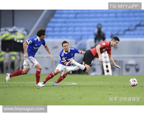 刚山绿雉与金泽塞维根的精彩对决谁将赢得最终胜利